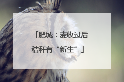 肥城：麦收过后秸秆有“新生”
