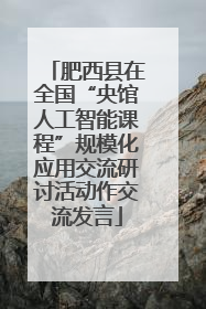 肥西县在全国“央馆人工智能课程”规模化应用交流研讨活动作交流发言