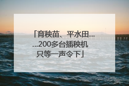 育秧苗、平水田……200多台插秧机只等一声令下