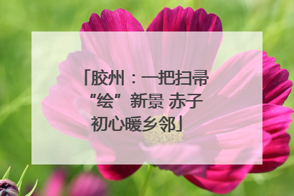 胶州：一把扫帚“绘”新景 赤子初心暖乡邻
