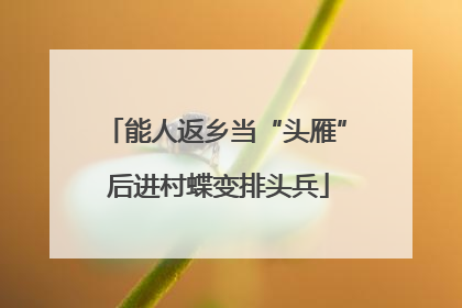 能人返乡当“头雁” 后进村蝶变排头兵