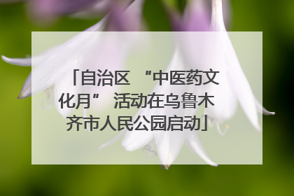 自治区 “中医药文化月” 活动在乌鲁木齐市人民公园启动