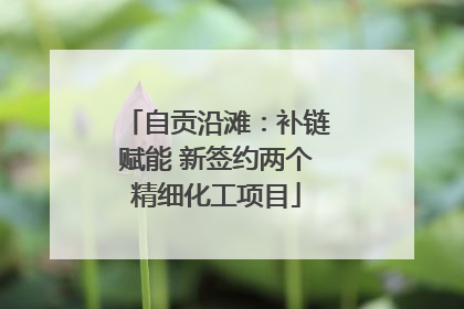 自贡沿滩：补链赋能 新签约两个精细化工项目