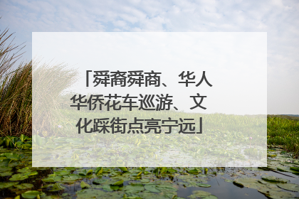 舜裔舜商、华人华侨花车巡游、文化踩街点亮宁远