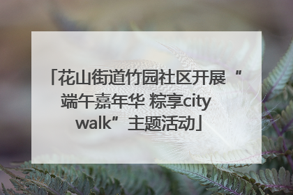 花山街道竹园社区开展“端午嘉年华 粽享city walk”主题活动
