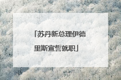 苏丹新总理伊德里斯宣誓就职
