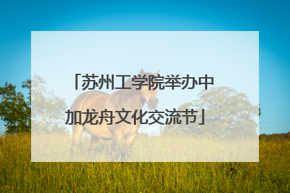 苏州工学院举办中加龙舟文化交流节