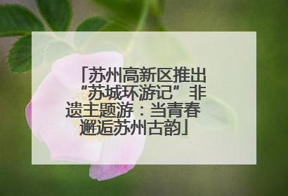 苏州高新区推出“苏城环游记”非遗主题游：当青春邂逅苏州古韵