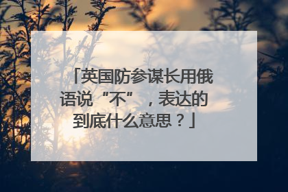 英国防参谋长用俄语说“不”，表达的到底什么意思？