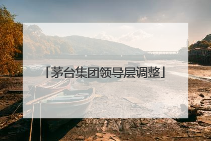 茅台集团领导层调整
