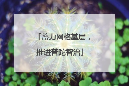 蓄力网格基层，推进普陀智治