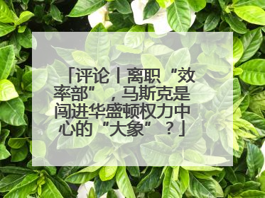 评论丨离职“效率部”，马斯克是闯进华盛顿权力中心的“大象”？