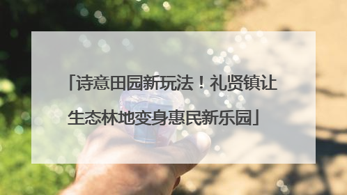 诗意田园新玩法！礼贤镇让生态林地变身惠民新乐园