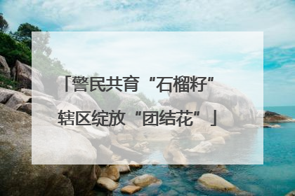 警民共育“石榴籽” 辖区绽放“团结花”