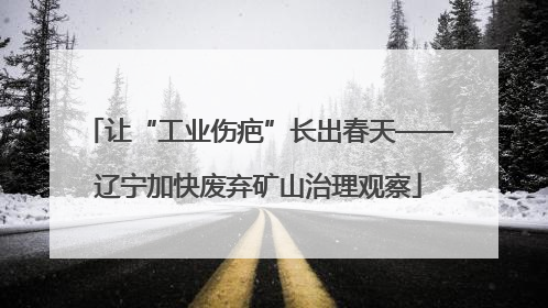 让“工业伤疤”长出春天——辽宁加快废弃矿山治理观察