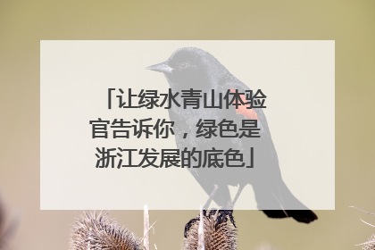 让绿水青山体验官告诉你，绿色是浙江发展的底色
