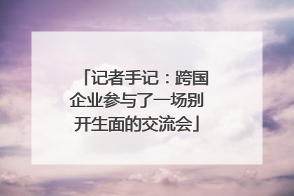 记者手记：跨国企业参与了一场别开生面的交流会