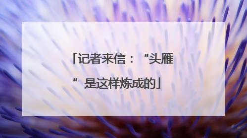 记者来信：“头雁”是这样炼成的