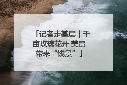 记者走基层｜千亩玫瑰花开 美景带来“钱景”