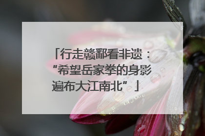 行走赣鄱看非遗：“希望岳家拳的身影遍布大江南北”