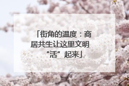 街角的温度：商居共生让这里文明“活”起来