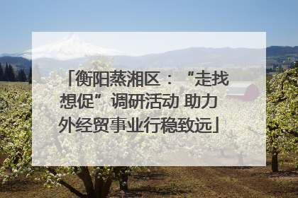 衡阳蒸湘区：“走找想促”调研活动 助力外经贸事业行稳致远