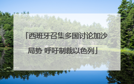 西班牙召集多国讨论加沙局势 呼吁制裁以色列