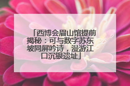 西博会眉山馆提前揭秘：可与数字苏东坡同屏吟诗，漫游江口沉银遗址