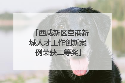 西咸新区空港新城人才工作创新案例荣获二等奖
