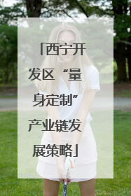 西宁开发区“量身定制”产业链发展策略
