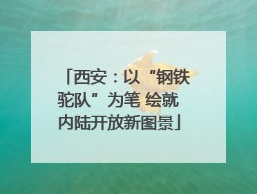 西安：以“钢铁驼队”为笔 绘就内陆开放新图景