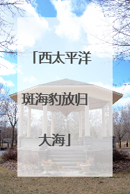 西太平洋斑海豹放归大海