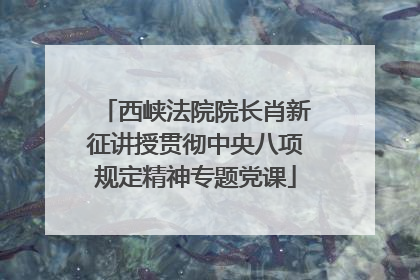 西峡法院院长肖新征讲授贯彻中央八项规定精神专题党课