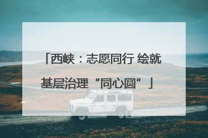 西峡：志愿同行 绘就基层治理“同心圆”