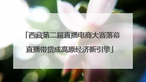 西藏第二届直播电商大赛落幕 直播带货成高原经济新引擎