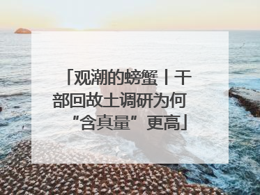 观潮的螃蟹丨干部回故土调研为何“含真量”更高