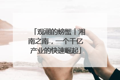 观潮的螃蟹丨湘南之南，一个千亿产业的快速崛起