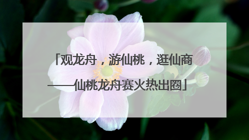 观龙舟，游仙桃，逛仙商——仙桃龙舟赛火热出圈