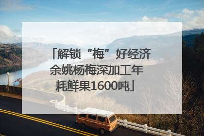 解锁“梅”好经济 余姚杨梅深加工年耗鲜果1600吨