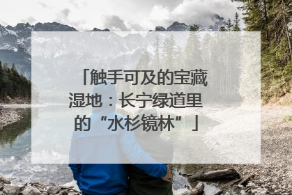 触手可及的宝藏湿地：长宁绿道里的“水杉镜林”