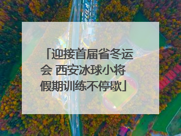 迎接首届省冬运会 西安冰球小将假期训练不停歇