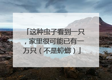 这种虫子看到一只，家里很可能已有一万只（不是蟑螂）