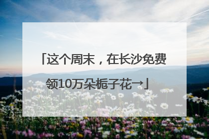 这个周末，在长沙免费领10万朵栀子花→