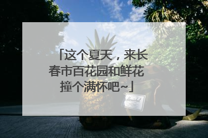 这个夏天，来长春市百花园和鲜花撞个满怀吧~