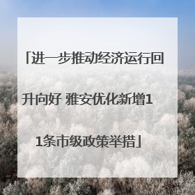 进一步推动经济运行回升向好 雅安优化新增11条市级政策举措