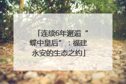 连续6年邂逅“蝶中皇后”：福建永安的生态之约