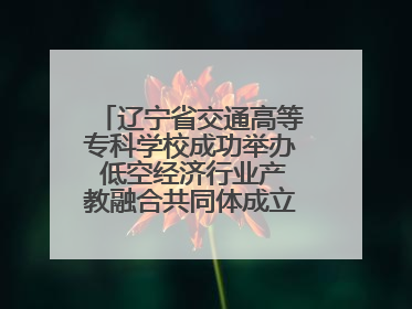 辽宁省交通高等专科学校成功举办 低空经济行业产教融合共同体成立大会暨共建低空经济产教融合新生态论坛