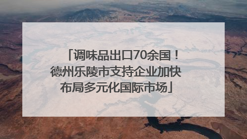 调味品出口70余国！德州乐陵市支持企业加快布局多元化国际市场