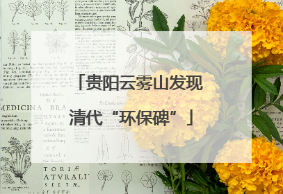 贵阳云雾山发现清代“环保碑”