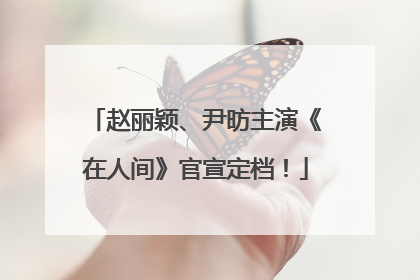 赵丽颖、尹昉主演《在人间》官宣定档！